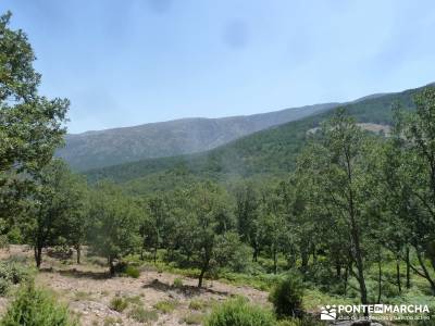 Navaluenga;Valle Alberche; excursiones vizcaya sierra de alcaraz rutas selva irati